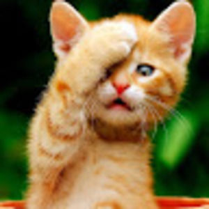 Meet your Posher, Melinda